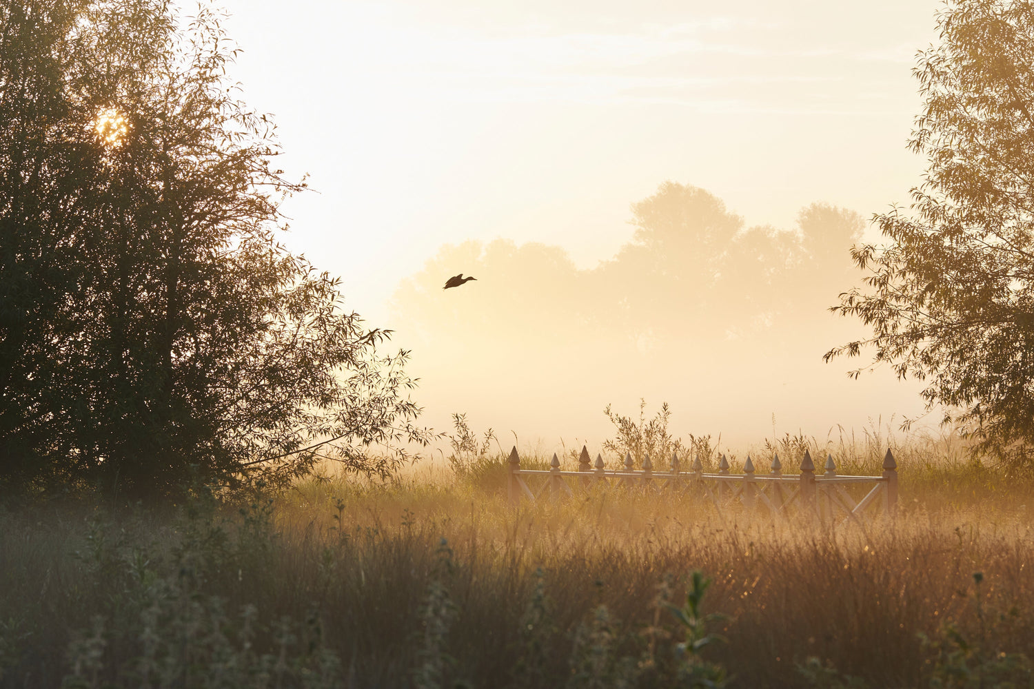 The Belmont Collection Residency