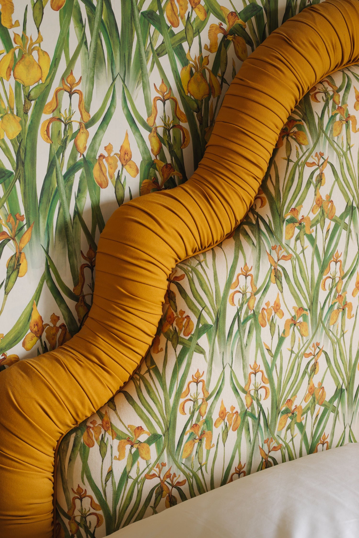 Yellow Iris