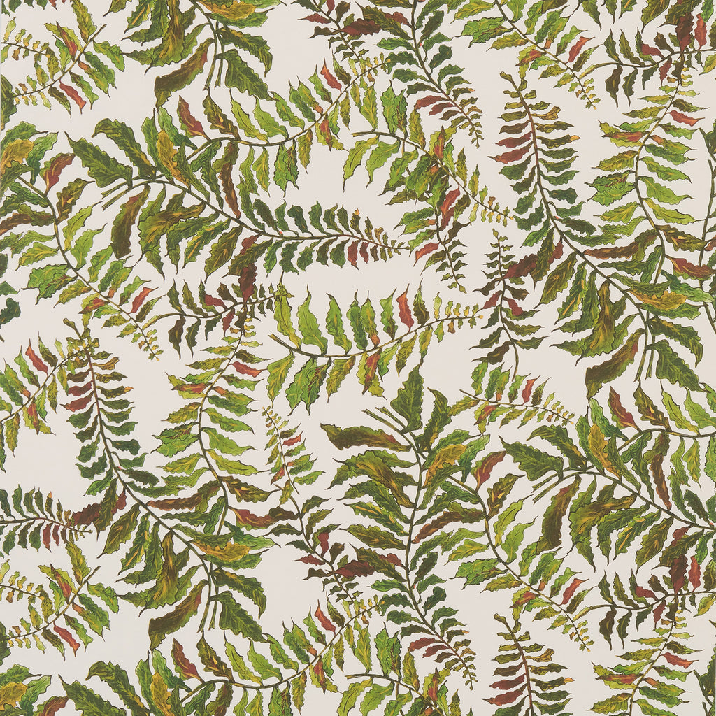 2973-90505 Finnley Grey Inked Fern Wallpaper | Total Wallcovering