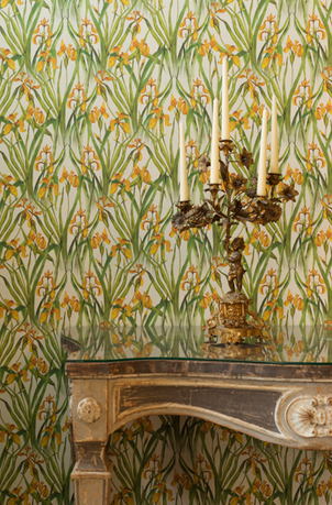 Yellow Iris Small Wallpaper