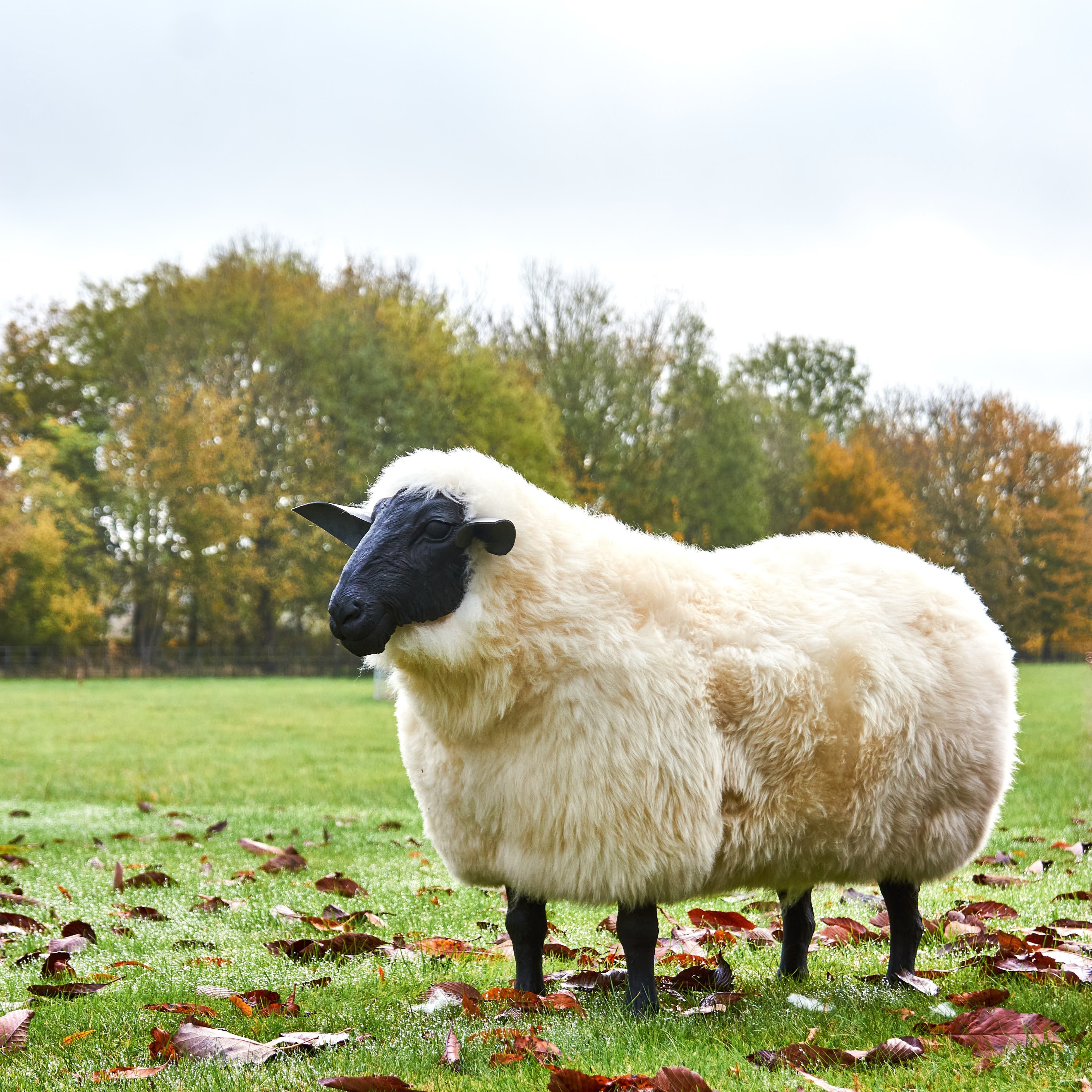 Thyme Sheep Seat MADE TO ORDER Thyme & Bertioli