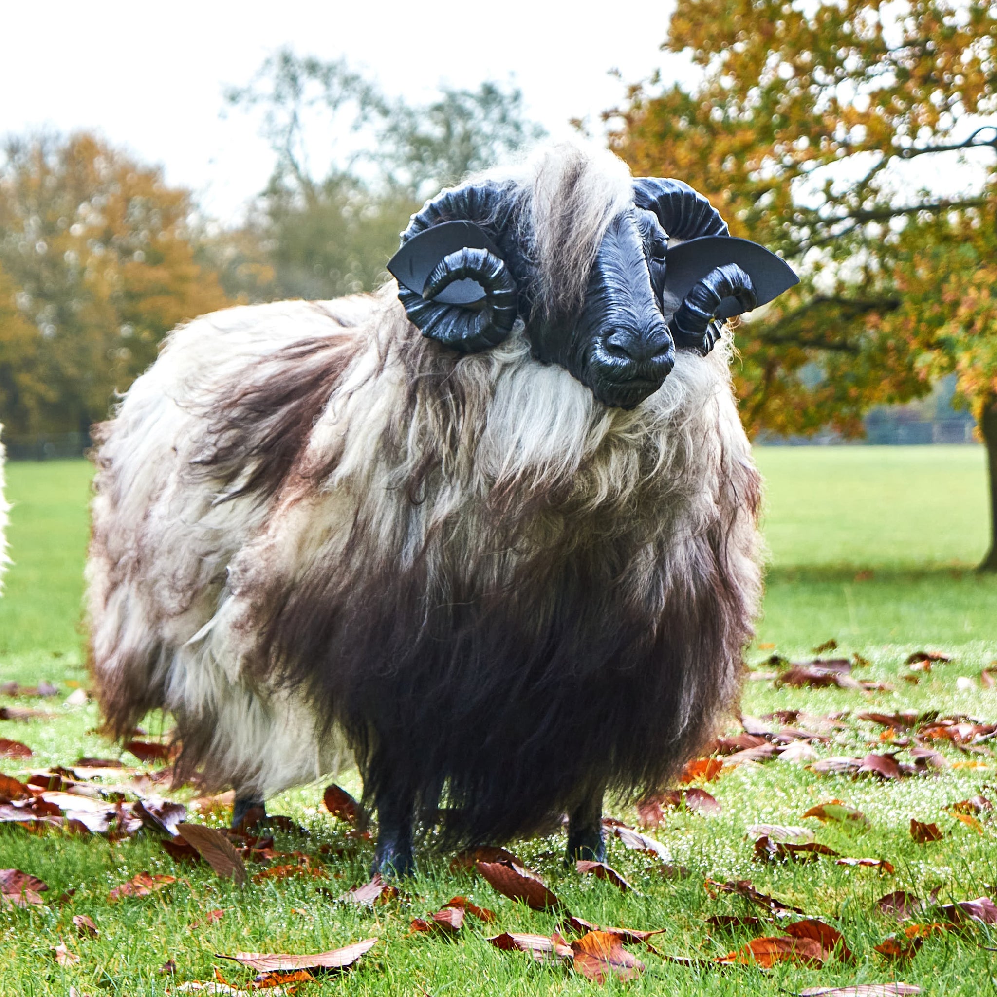 Thyme Sheep Seat MADE TO ORDER Thyme & Bertioli